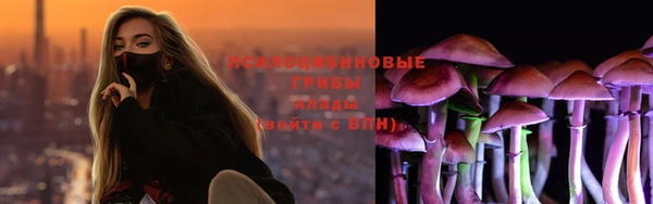 кокс Осташков