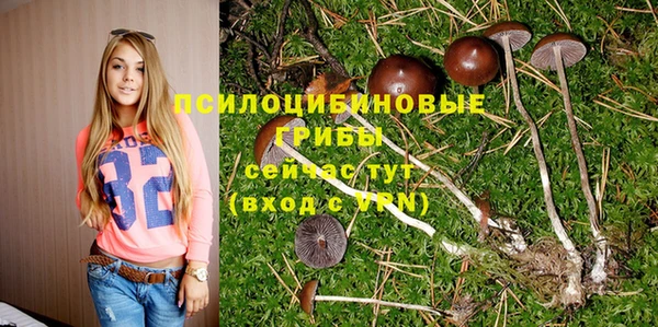 эйфоретик Вяземский