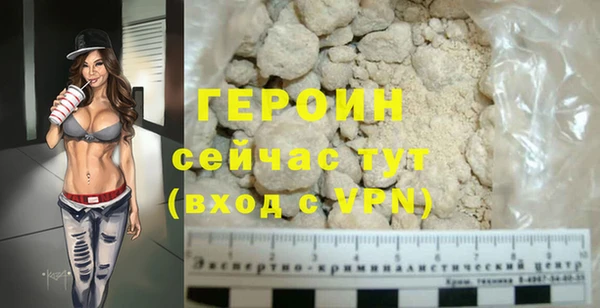 дживик Ельня